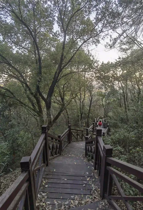 皋亭山18
