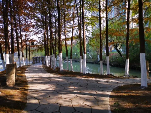 萧山北塘公园秋季的风景