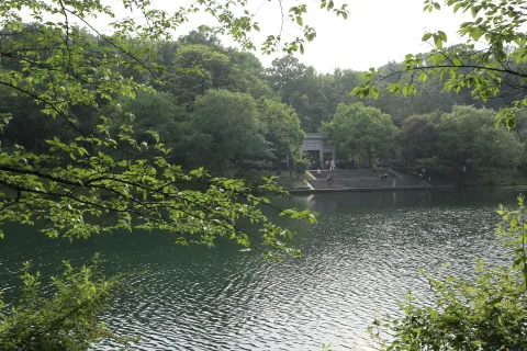 乌龟谭
