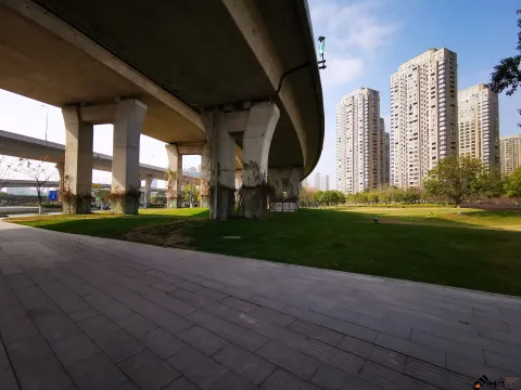 西兴大桥高24