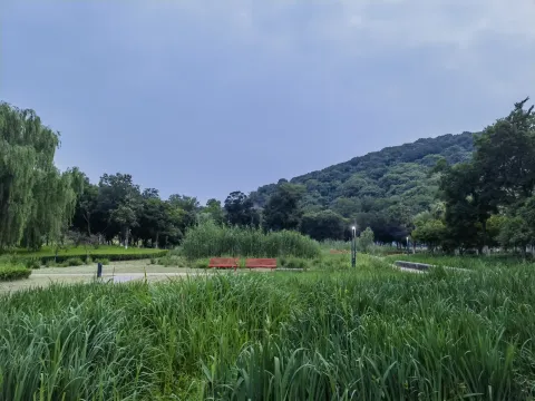 西山漾15