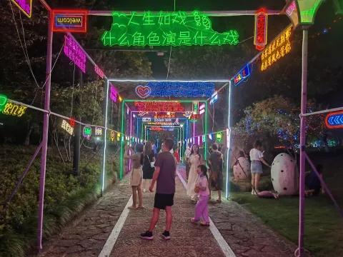 皋亭山千桃不夜城18
