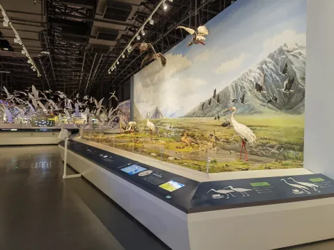 盐城，黄海湿地博物馆13