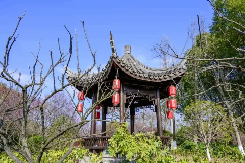超山景区19