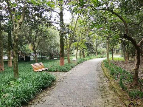 杭州植物园
