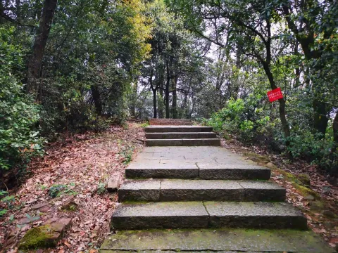 五云山56