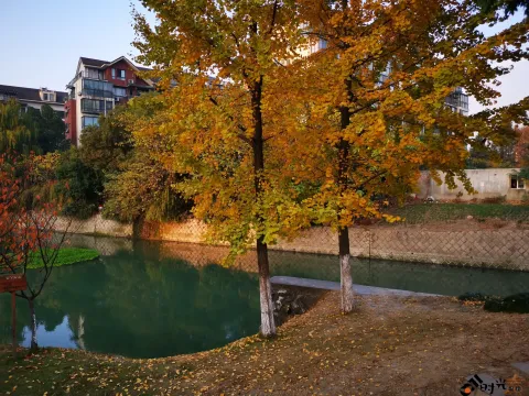 湘湖东岸的风景