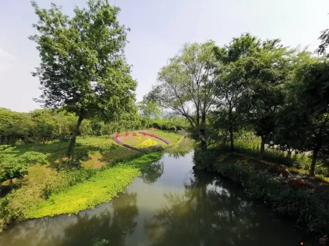 西溪花朝节