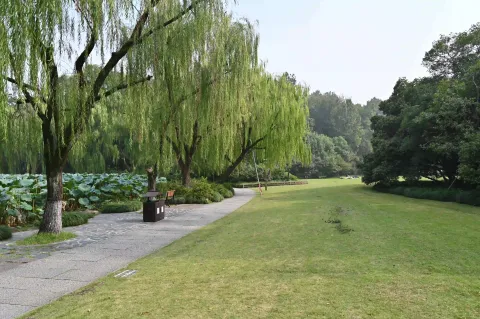 孤山公园7