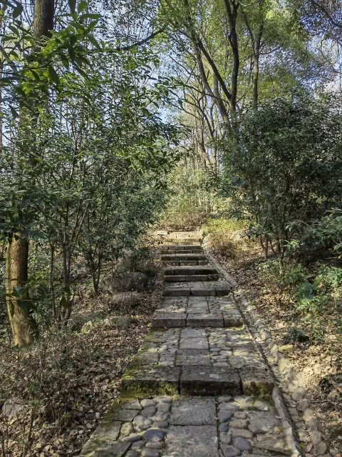 皋亭山4