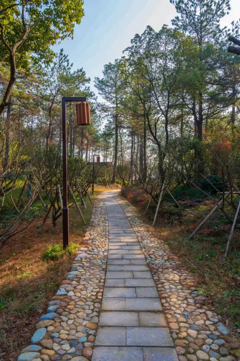 小梅山15