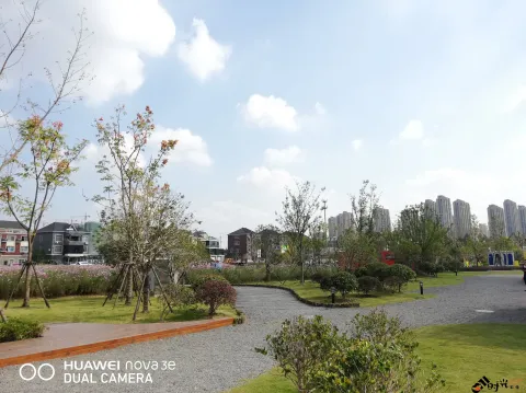 三墩兰里生态园