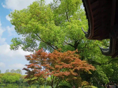 小瀛洲48