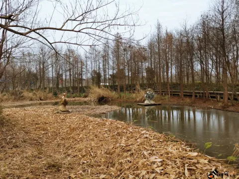 西溪国家湿地公园