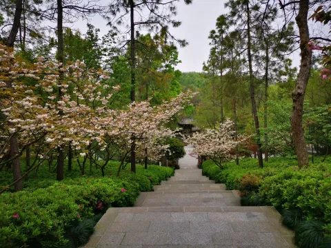 万松书院47