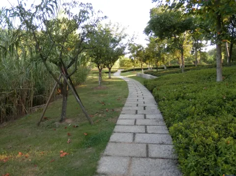 脚下的路