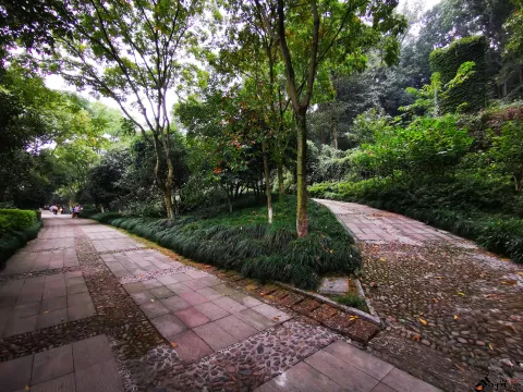 满陇桂雨公园（儿童公园）