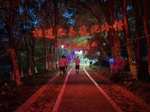 皋亭山千桃不夜城7