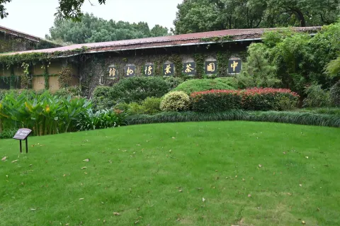 杭州中国茶叶博物馆馆区景色1