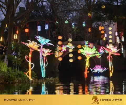 夜色中坐摇橹船赏灯10