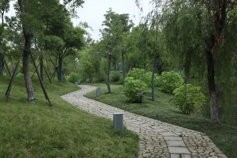 桃花湖公园6