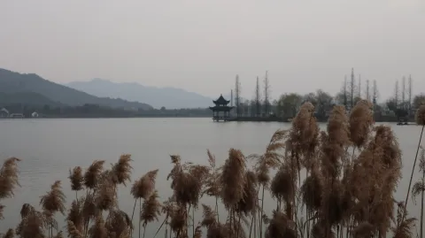 湘湖边的景色