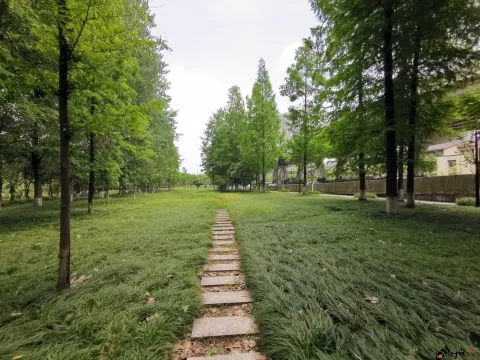 宁静而致远