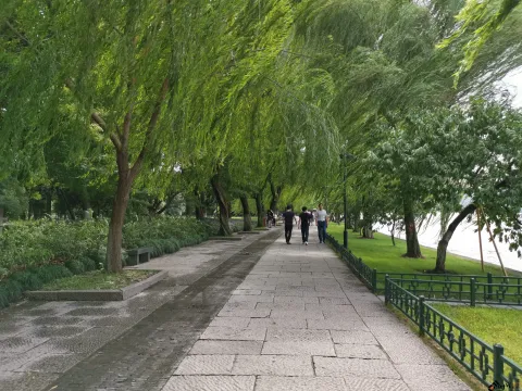西湖美景