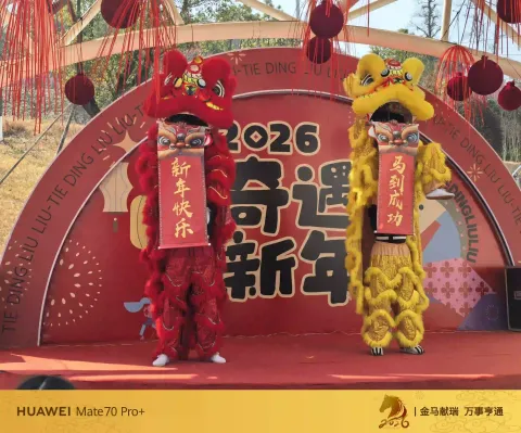 春节游玩铁定溜溜3