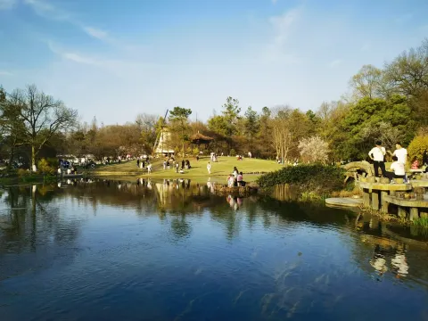 杭州太子湾公园7