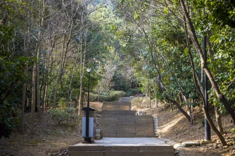 仁皇山爬山走道1