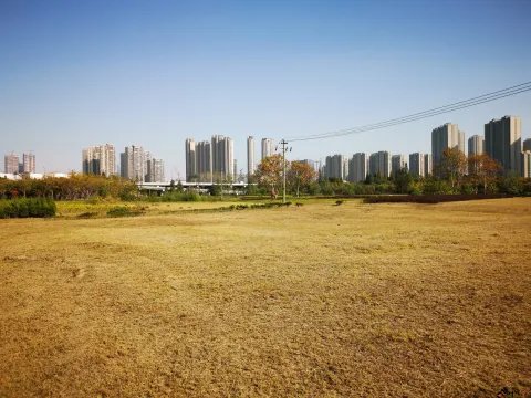 深秋，开始变的枯黄的草地