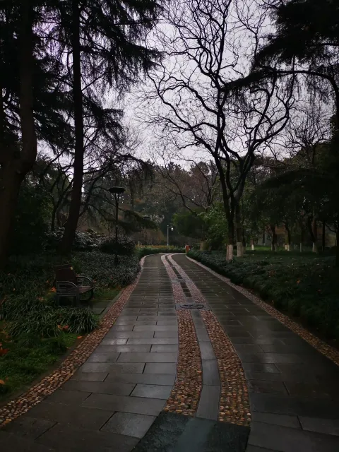 柳浪闻莺10