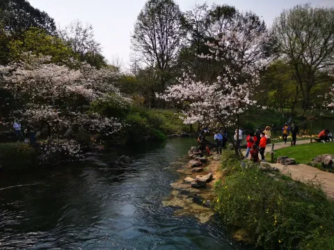 太子湾踏春37