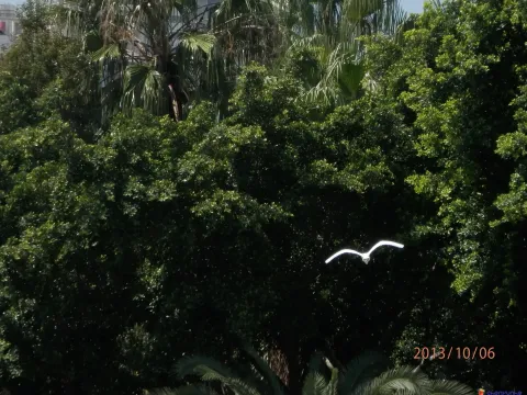 厦门白鹭洲公园