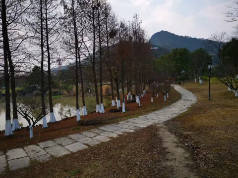 湘湖行人走道