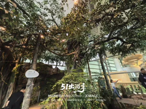 科技馆内的雨林秘境8