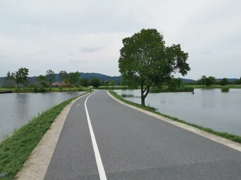 良渚遗址公园7
