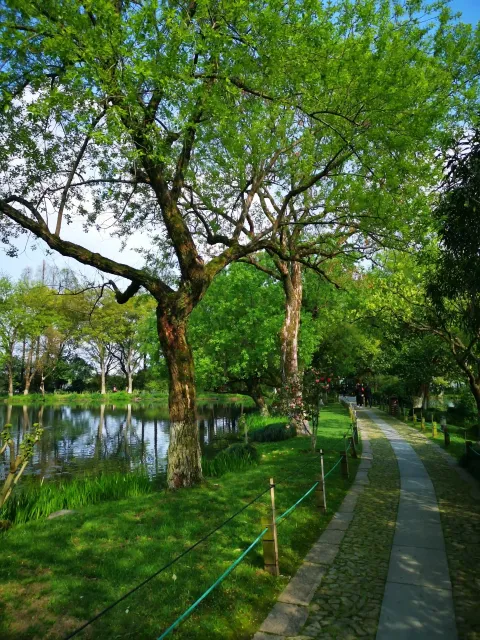 小瀛洲9