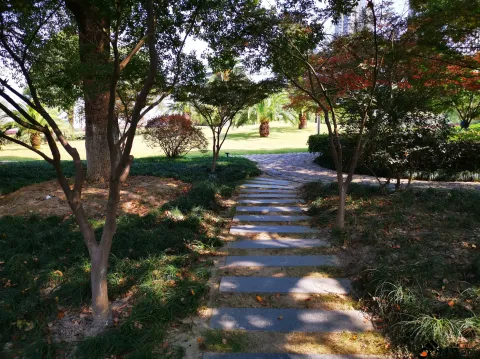 钱塘江大桥南岸的公园景色