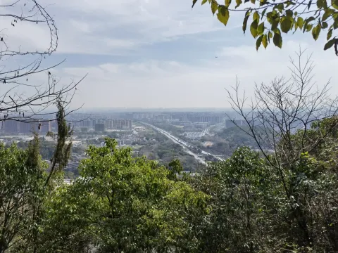 皋亭山8