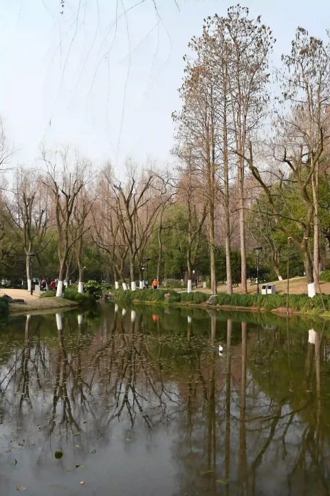 学士公园6