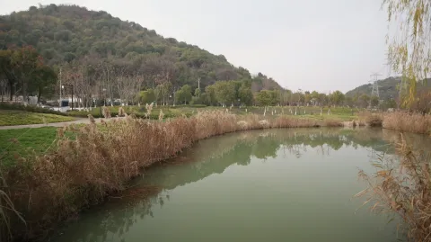 湘湖，湖面的景色