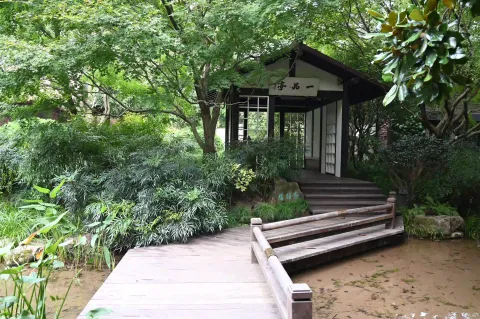 杭州中国茶叶博物馆馆区景色8