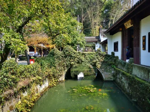 虎跑泉