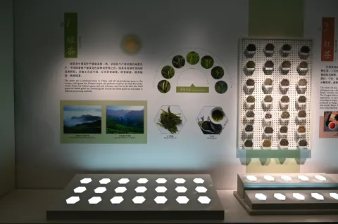 杭州中国茶叶博物馆5