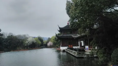 曲院风荷