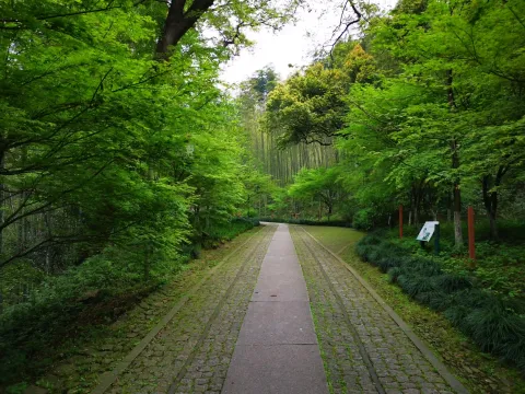 云栖竹径47