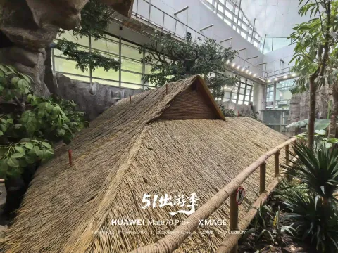 科技馆内的雨林秘境12