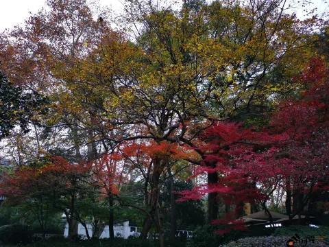 西湖，北山街南侧的景色